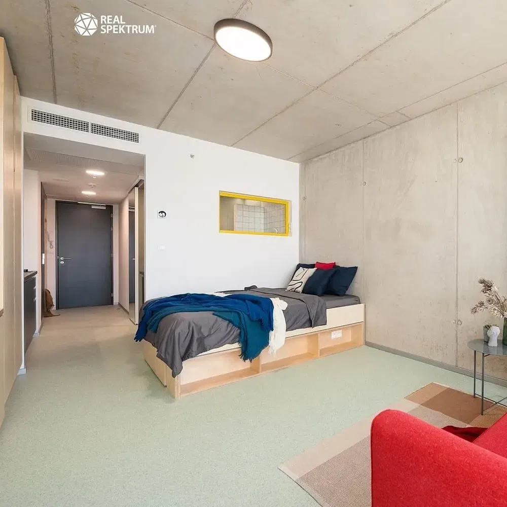 Кухня; кухненски уреди, дървен под, естествена светлина, модерен стил