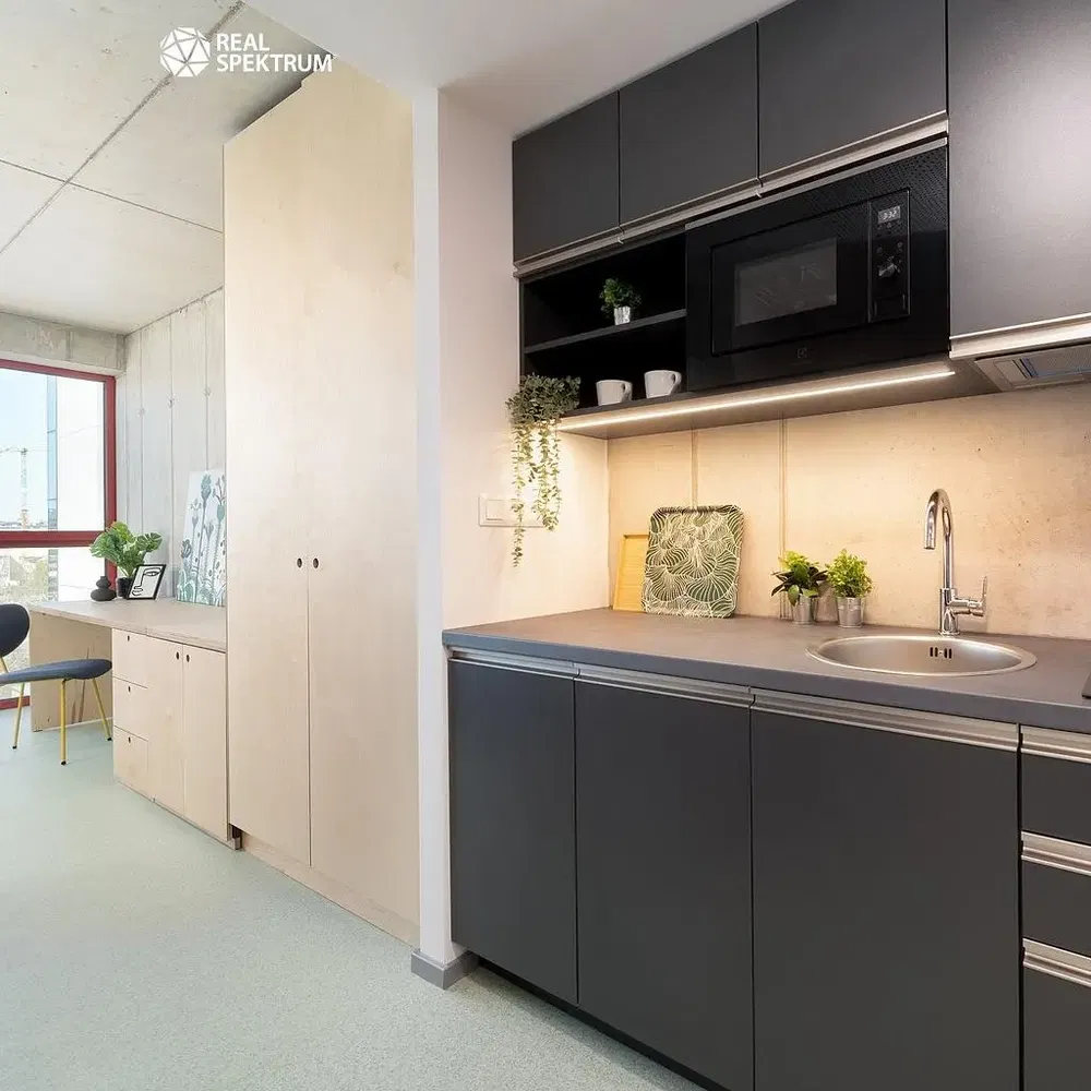 Кухня; кухненски уреди, дървен под, естествена светлина, модерен стил