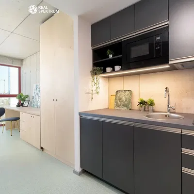 Кухня; кухненски уреди, дървен под, естествена светлина, модерен стил