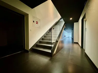 Living room; wood floor, natural light, modern style