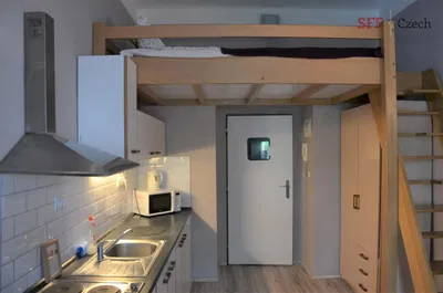 Хол; дървен под, естествена светлина, модерен стил