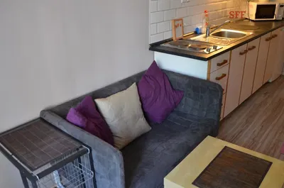 Кухня; кухненски уреди, дървен под, естествена светлина, модерен стил