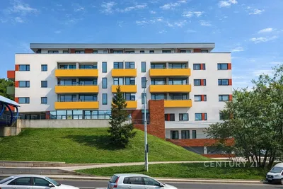 Хол; дървен под, естествена светлина, модерен стил