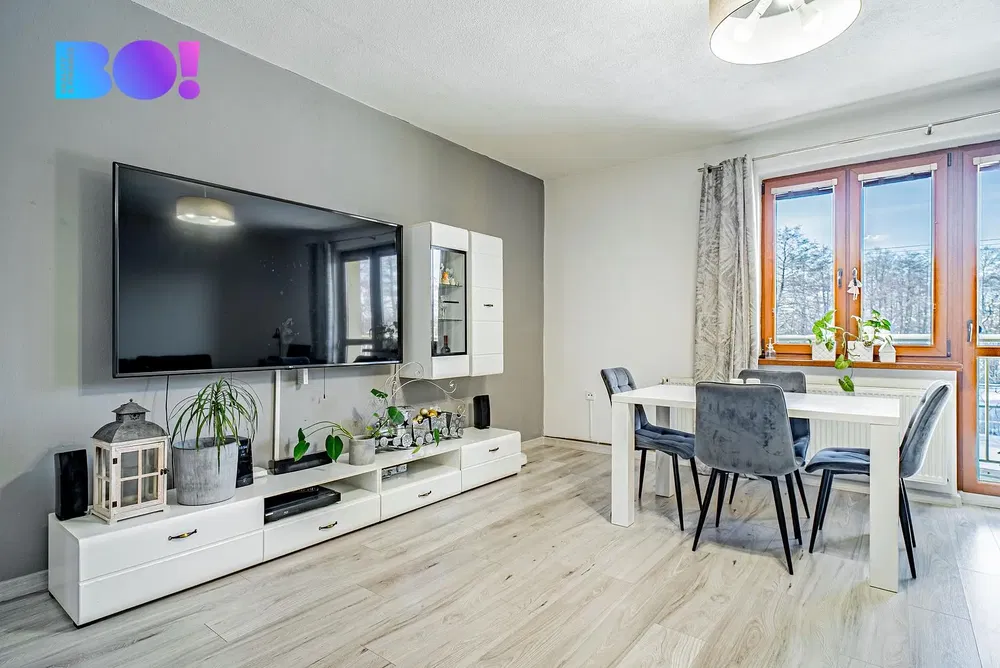 Living room; wood floor, natural light, modern style