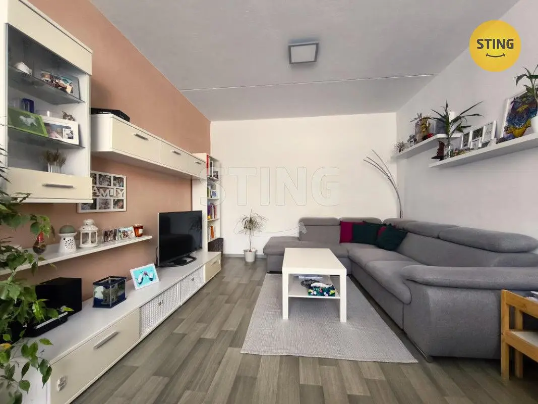 Kitchen; kitchen appliances, wood floor, natural light, modern style