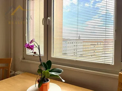 Oturma odası; manzara, doğal ışık, modern stil, ahşap zemin