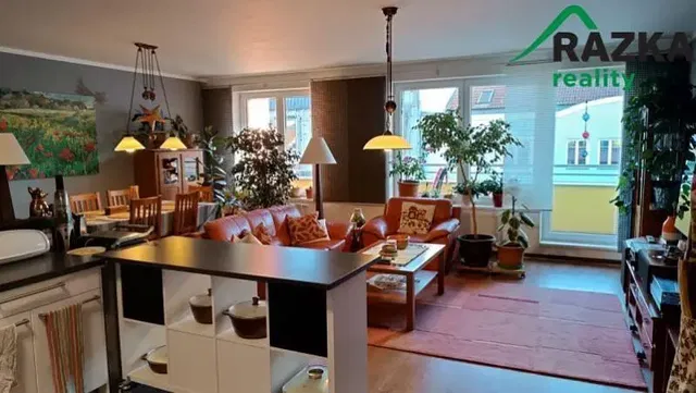 Кухня; кухненски уреди, дървен под, естествена светлина, модерен стил