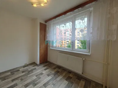 Living room; wood floor, natural light, modern style