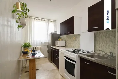 Küche; küchengeräte, holzboden, tageslicht, moderner stil