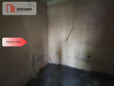 Mutfak; mutfak aletleri, ahşap zemin, doğal ışık, modern stil