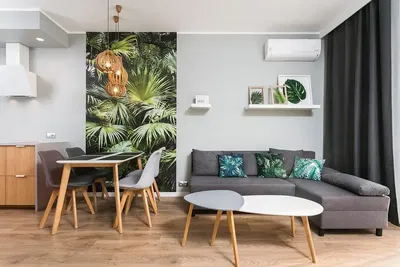 Cuisine; électroménager, parquet, lumière naturelle, style moderne