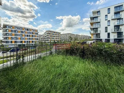 Mutfak; mutfak aletleri, ahşap zemin, doğal ışık, modern stil