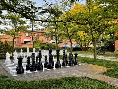 Oturma odası; ahşap zemin, doğal ışık, modern stil