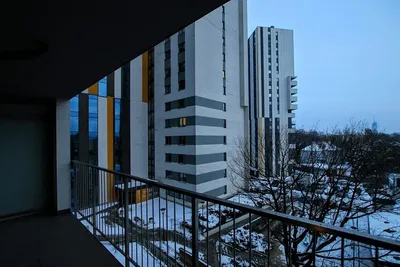 Mutfak; mutfak aletleri, ahşap zemin, doğal ışık, modern stil