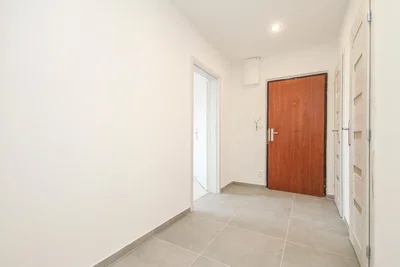 Küche; küchengeräte, holzboden, tageslicht, moderner stil