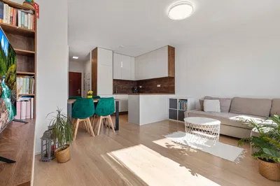 Küche; küchengeräte, holzboden, tageslicht, moderner stil