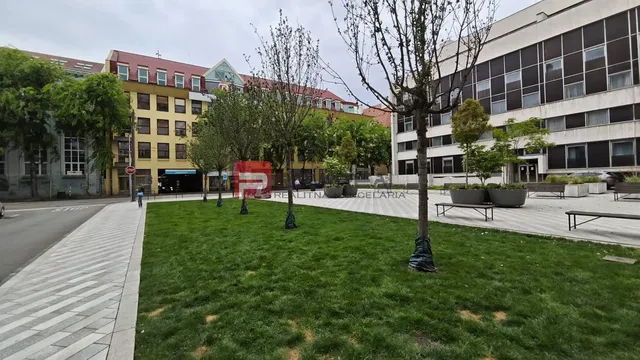 Kitchen; kitchen appliances, wood floor, natural light, modern style