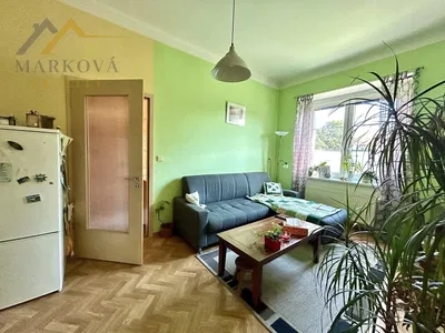 Mutfak; mutfak aletleri, ahşap zemin, doğal ışık, modern stil