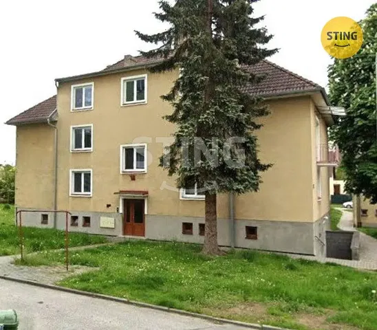 Salón; suelo de madera, luz natural, estilo moderno
