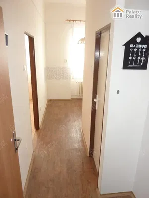 Küche; küchengeräte, holzboden, tageslicht, moderner stil