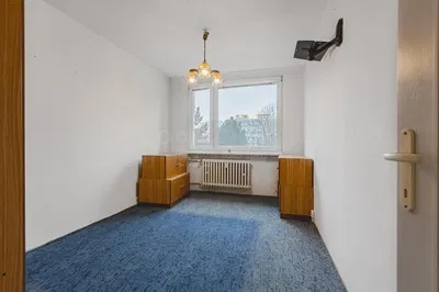 Kitchen; kitchen appliances, wood floor, natural light, modern style