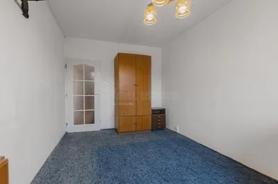 Living room; wood floor, natural light, modern style