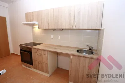 Хол; дървен под, естествена светлина, модерен стил