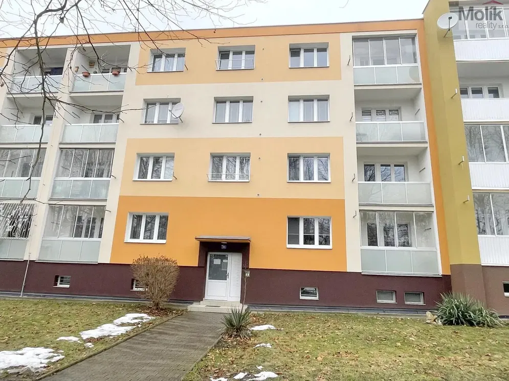 Mutfak; mutfak aletleri, ahşap zemin, doğal ışık, modern stil