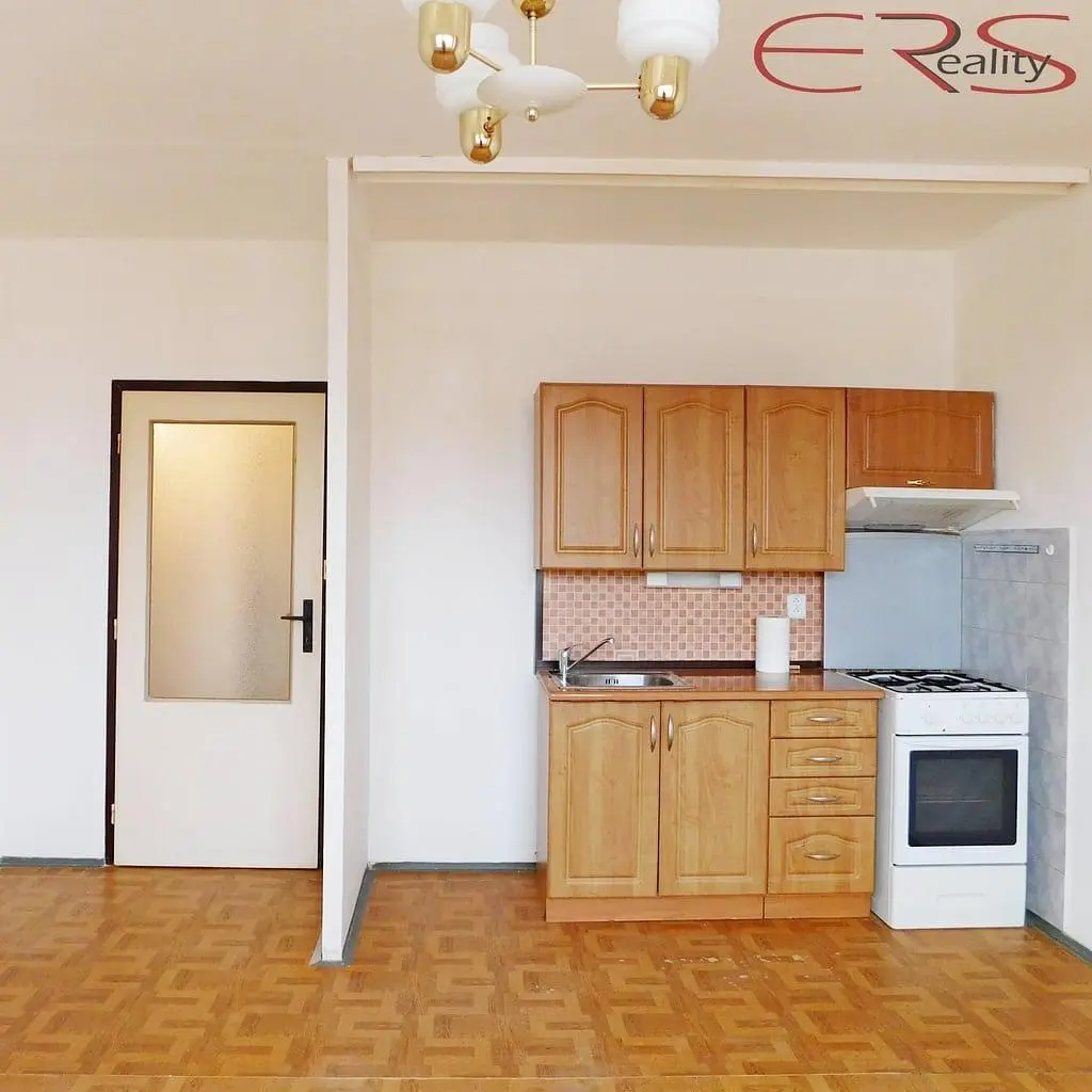 Kuchyně; kuchyňské spotřebiče, dřevěná podlaha, přirozené světlo, moderní styl