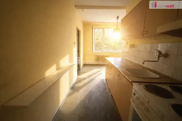 Obývací pokoj; dřevěná podlaha, přirozené světlo, moderní styl