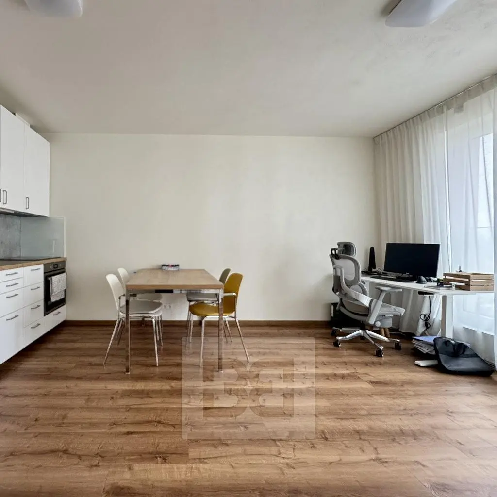 Obývací pokoj; dřevěná podlaha, přirozené světlo, moderní styl