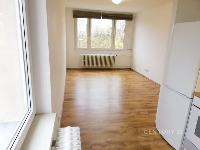 Küche; küchengeräte, holzboden, tageslicht, moderner stil