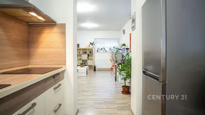 Cozinha; eletrodomésticos, chão de madeira, luz natural, estilo moderno