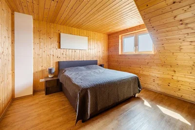 Kitchen; kitchen appliances, wood floor, natural light, modern style