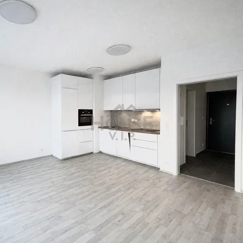 Кухня; кухненски уреди, дървен под, естествена светлина, модерен стил