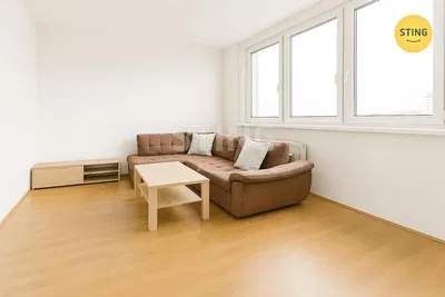 Хол; дървен под, естествена светлина, модерен стил