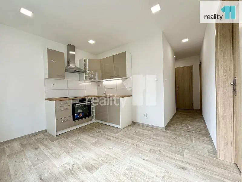 Living room; wood floor, natural light, modern style