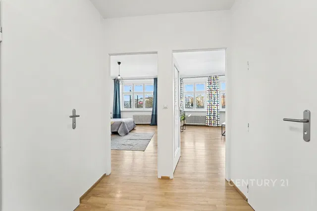 Kitchen; kitchen appliances, wood floor, natural light, modern style