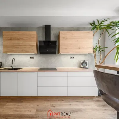 Кухня; кухненски уреди, дървен под, естествена светлина, модерен стил