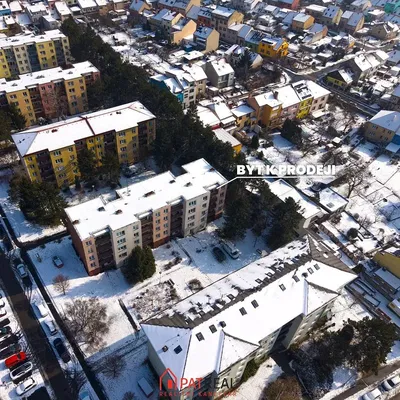 Хол; дървен под, естествена светлина, модерен стил