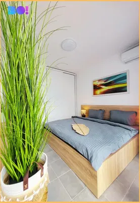 Хол; дървен под, естествена светлина, модерен стил