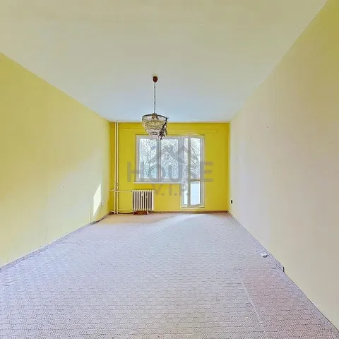 Кухня; кухненски уреди, дървен под, естествена светлина, модерен стил