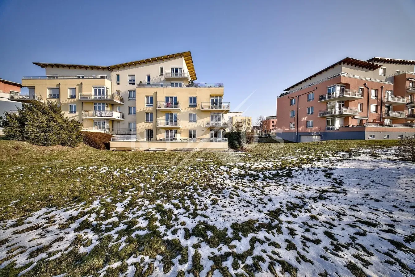 Хол; дървен под, естествена светлина, модерен стил