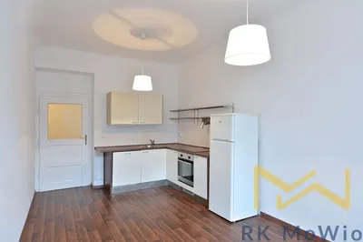 Kitchen; kitchen appliances, wood floor, natural light, modern style
