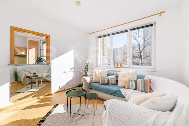 Хол; дървен под, естествена светлина, модерен стил, високи тавани