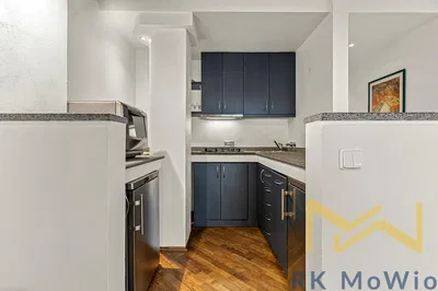 Хол; дървен под, естествена светлина, модерен стил