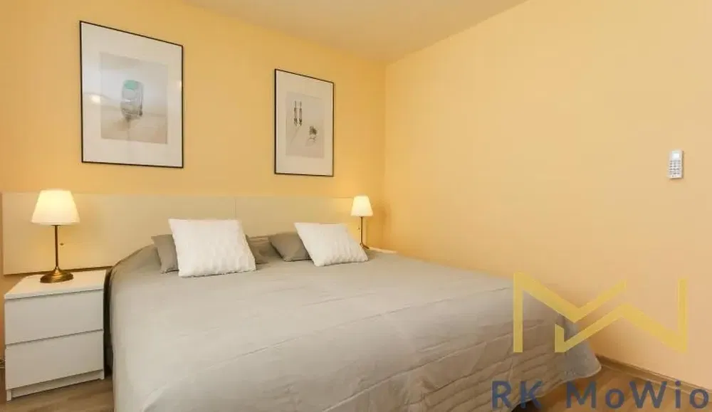 Kitchen; kitchen appliances, wood floor, natural light, modern style