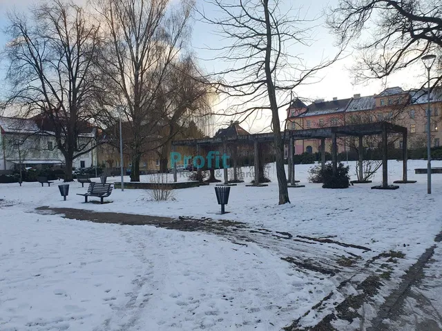 Хол; дървен под, естествена светлина, модерен стил