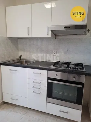 Kuchyně; kuchyňské spotřebiče, dřevěná podlaha, přirozené světlo, moderní styl