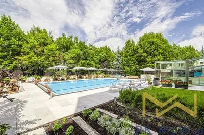Kitchen; kitchen appliances, wood floor, natural light, modern style